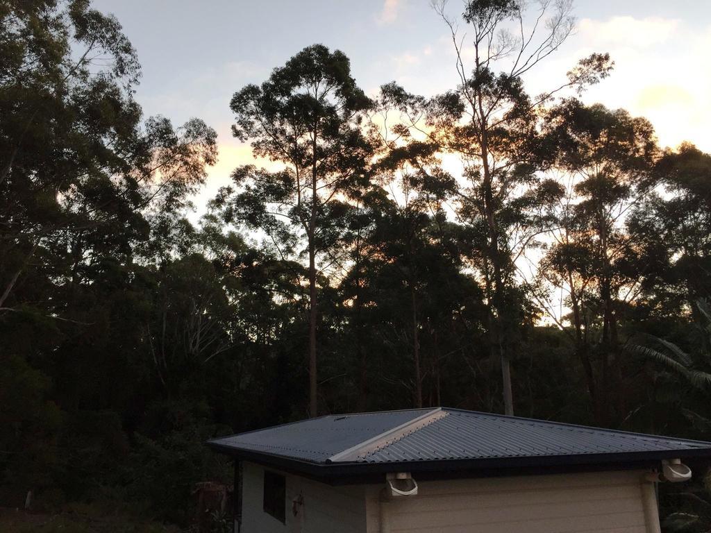 Mapleton Cabins & Caravan Park Luaran gambar